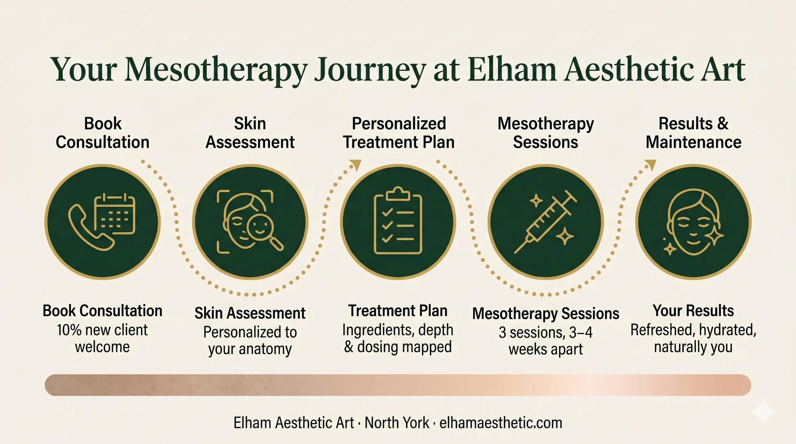 Mesotherapy client journey infographic showing consultation to results process at Elham Aesthetic Art North York
